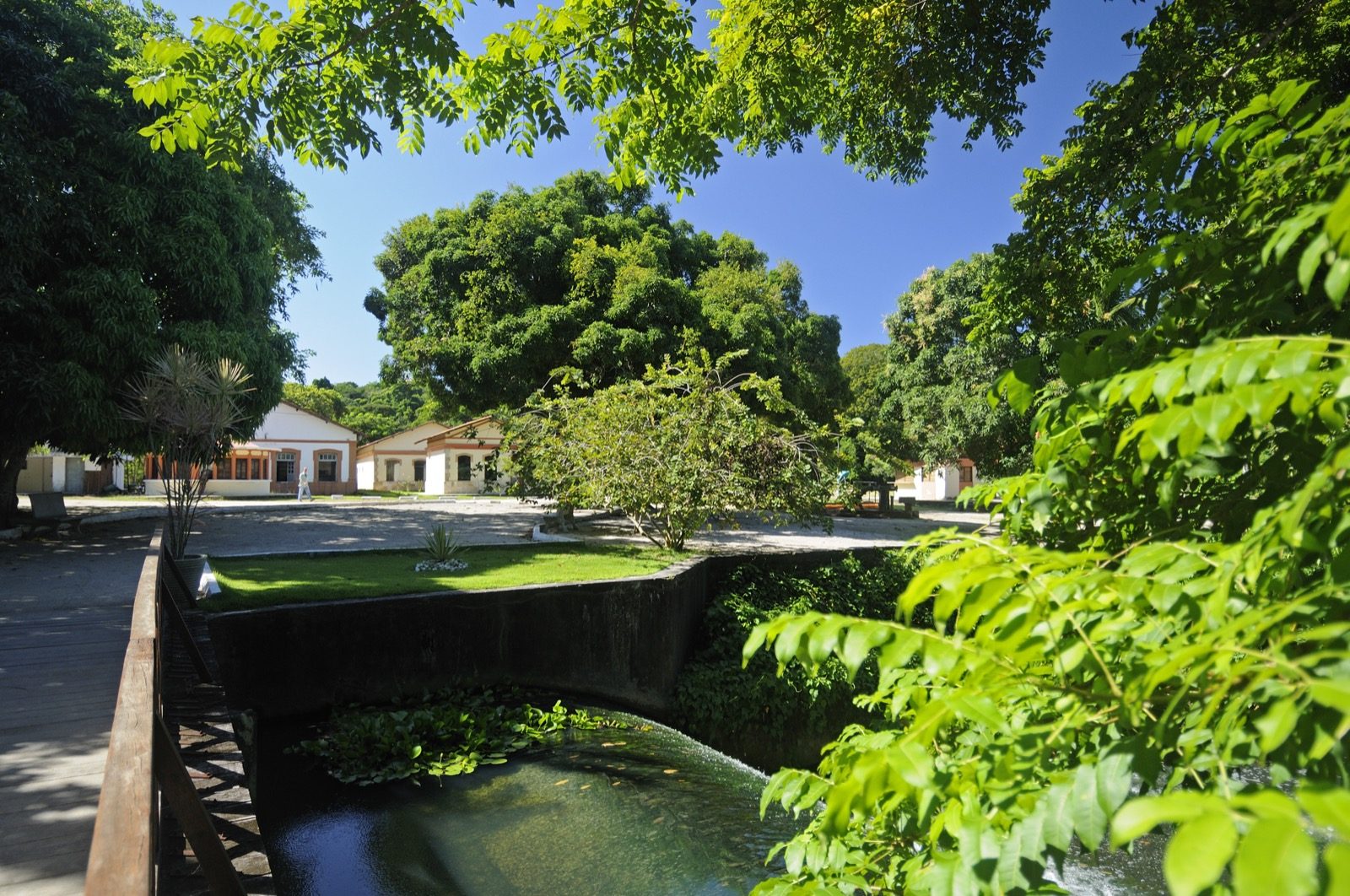 Jardim Botânico de João Pessoa