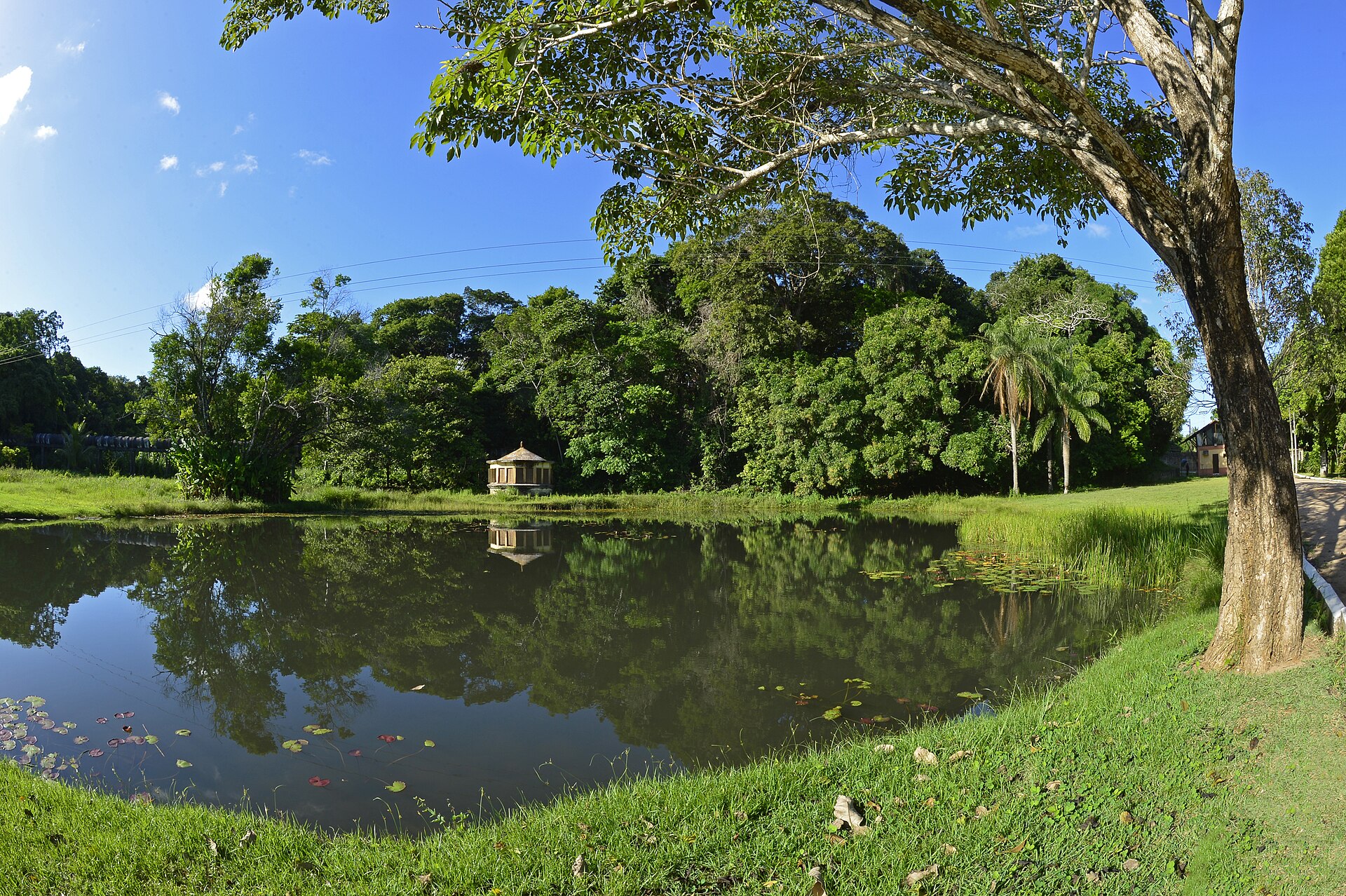 Trilha na Mata do Buraquinho, dentro do Jardim Botânico de João Pessoa