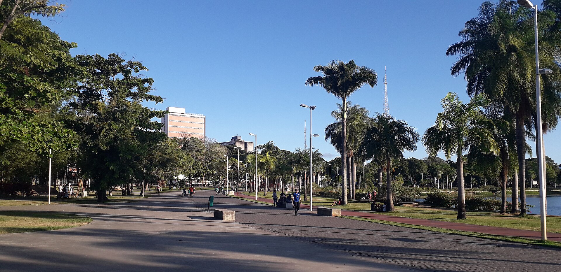 Tree-lined path by the lake in Parque Solon de Lucena