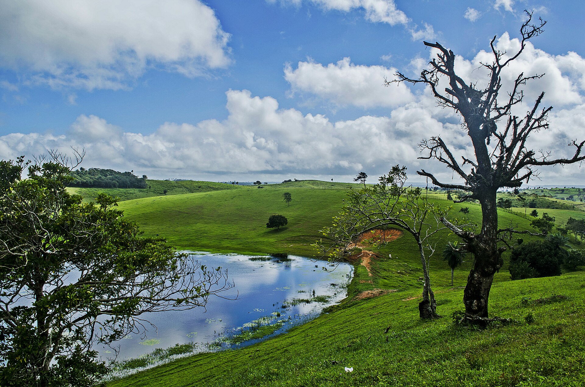 Green pasture, a reservoir and trees in the Brejo, typical Caminhos do Frio scenery