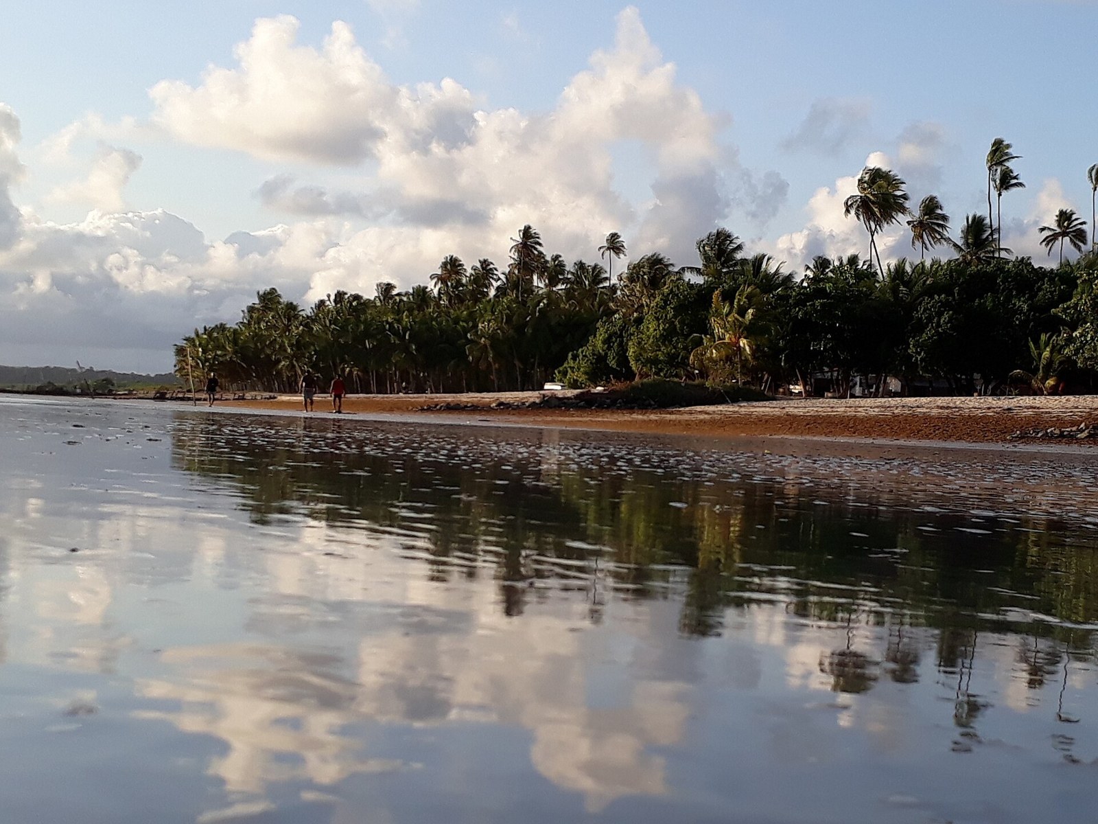 Praia de Carne de Vaca na maré baixa, com coqueiral, em Goiana, Pernambuco