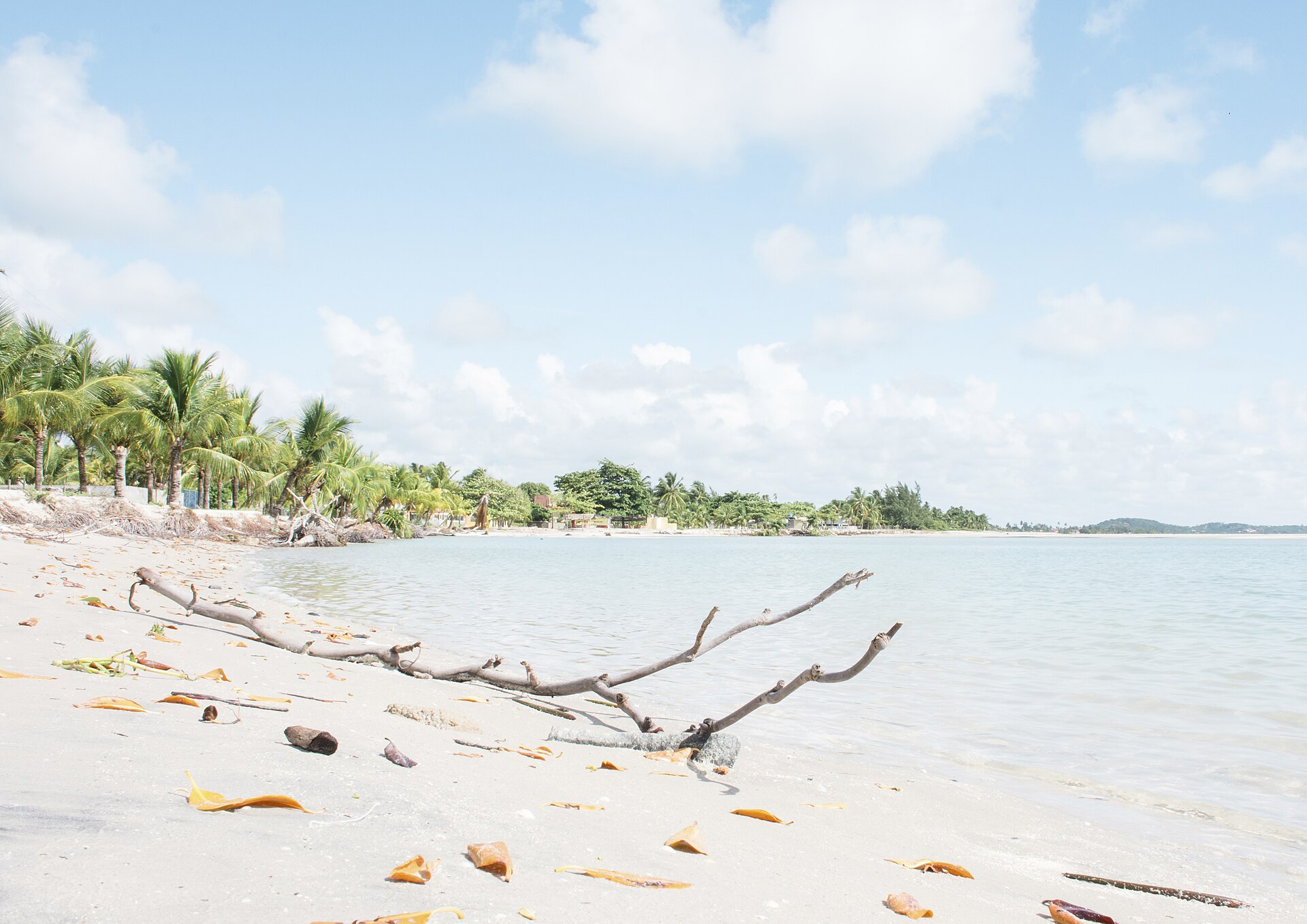 Pale sand, driftwood and calm sea at Praia do Sossego, in northern Itamaracá